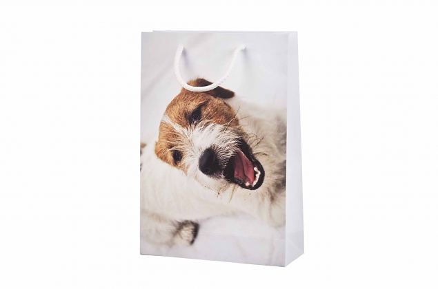 Poekottide kujundamisel on aga v�imalused peaaegu piiramatud. Maitsekas ja t�helepanu �ratav kujun